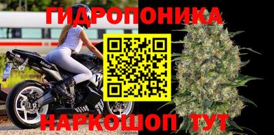 ECSTASY Нальчик